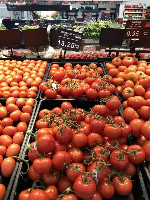 在迪拜生活到底贵不贵,迪拜打车贵不贵