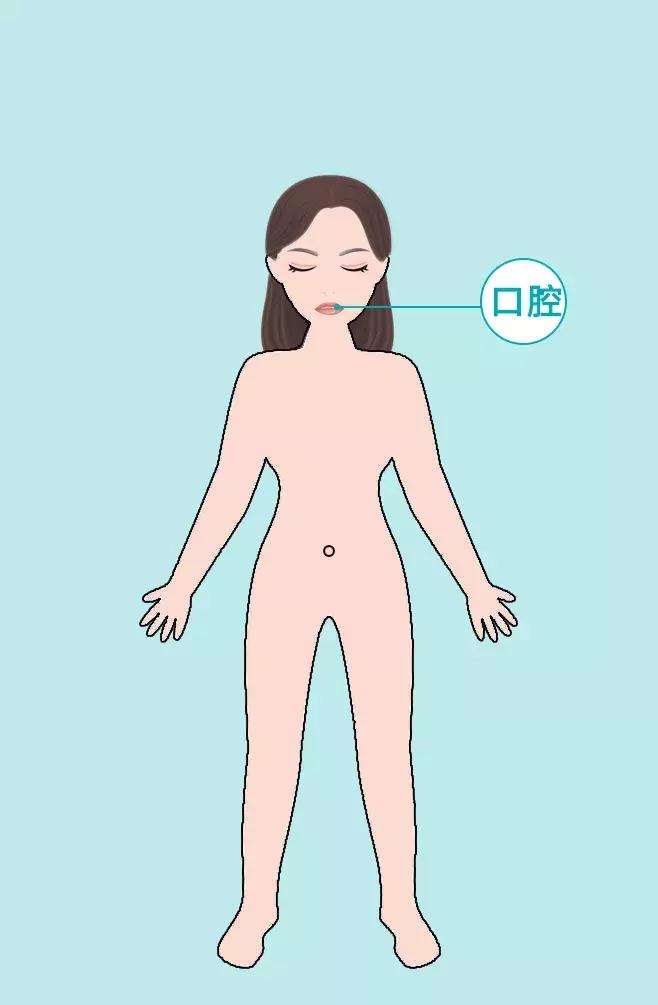 身体这6个部位太干净反而病越多,身体这6个部位太干净反而容易生病