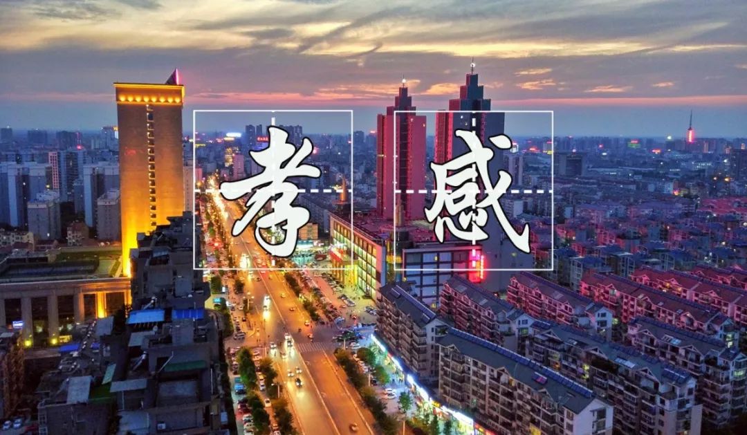 那些留在家乡的青年后来怎么样了,那些留在家乡的年轻人