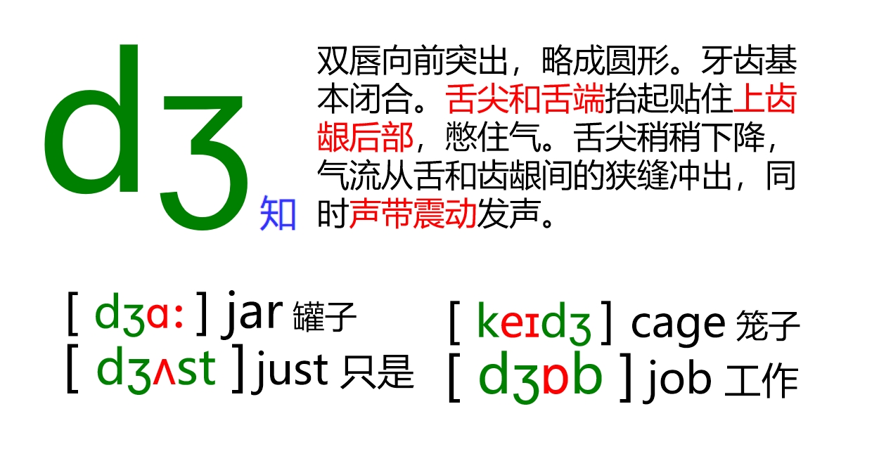 48个音标全套卡片作用,英语音标卡片48个正确发音嘴型