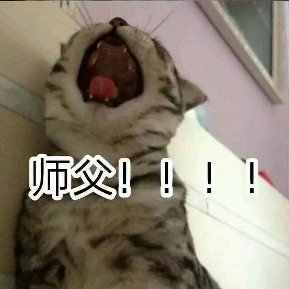 神武4手游金币用来买什么最划算,神武4手游新区氪金攻略