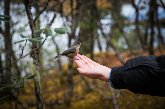 消失的地平线上的“香巴拉”和“女儿国”（二）