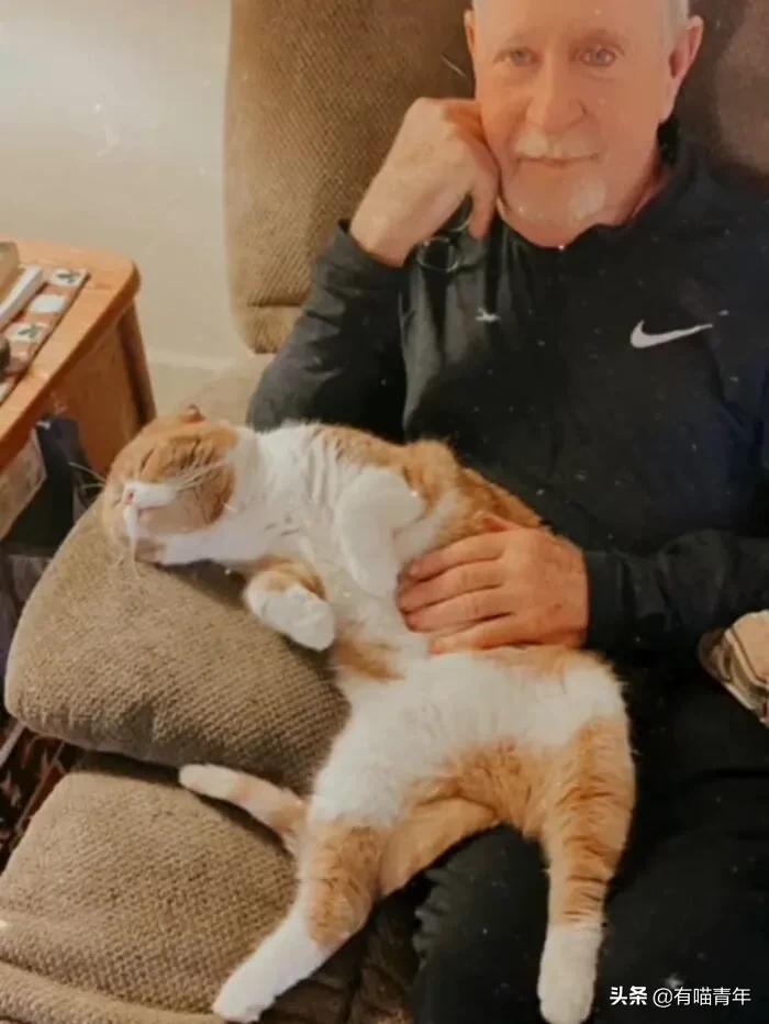 养猫也能治疗癌症?是真的