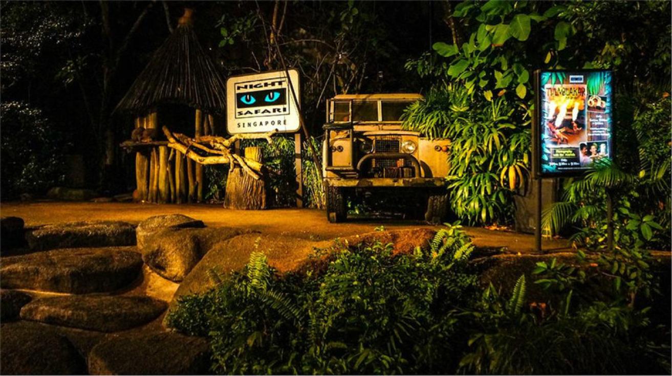 新加坡夜间动物园都有什么动物,新加坡动物园开放时间
