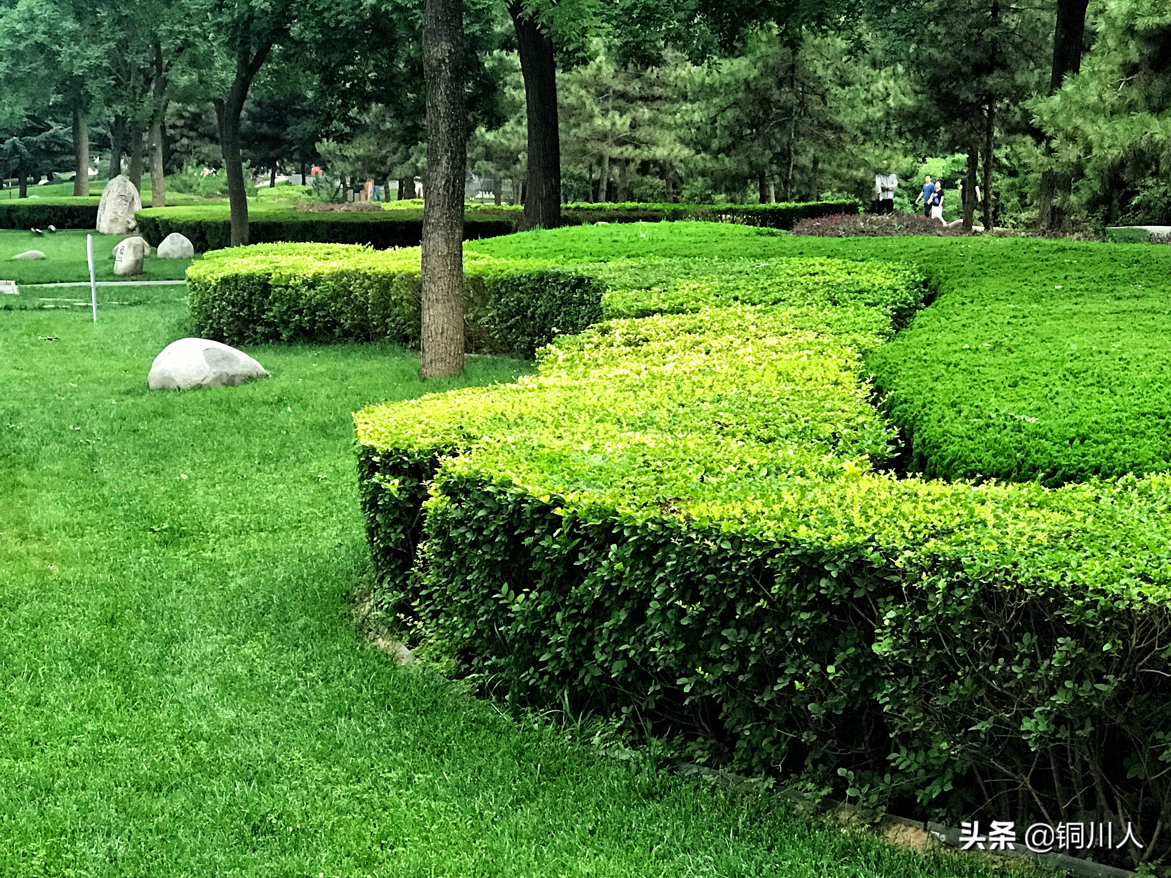 魅力铜川图片,美丽铜川新区