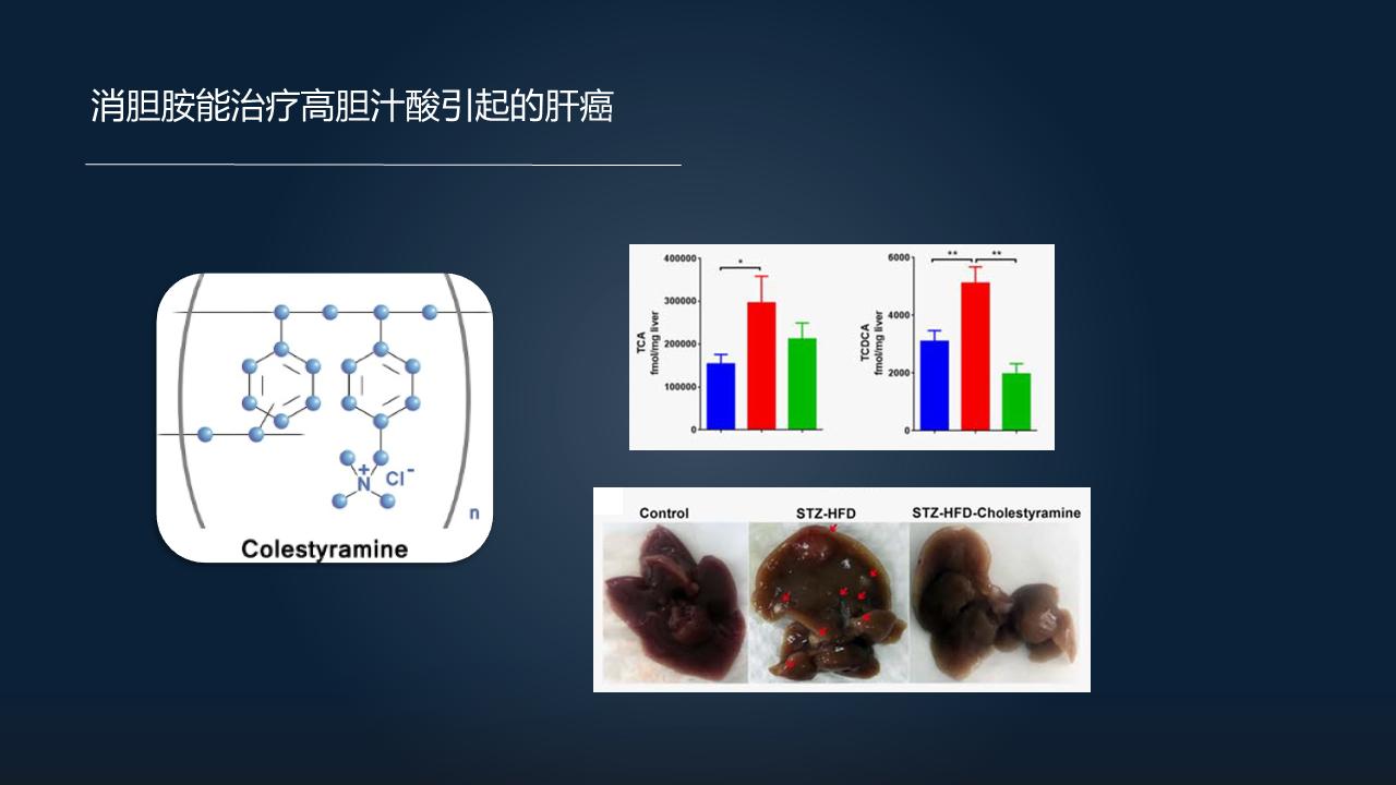 「图文实录」郑晓皎：18分钟详解菌群-胆汁酸与消化系统肿瘤
