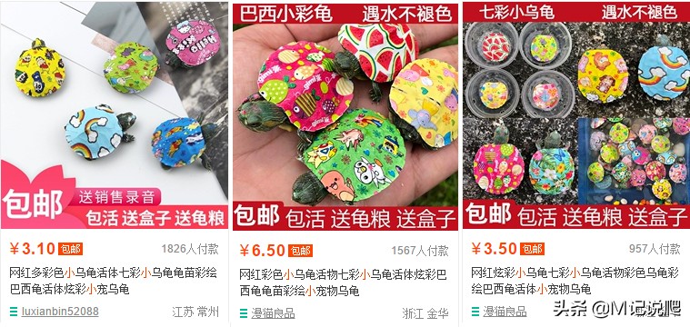 巴西龟有多凶残外来物种,巴西龟为什么是生态杀手