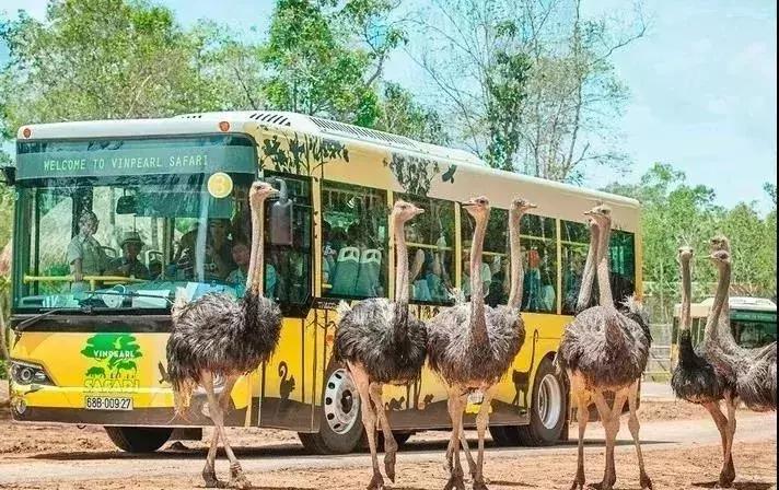 国庆人少自驾游推荐,国庆人少地方旅游推荐