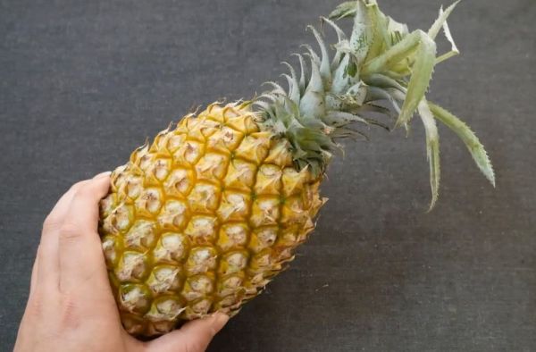 正确削菠萝的方法，简单又快还不会弄脏手，你会吗？
