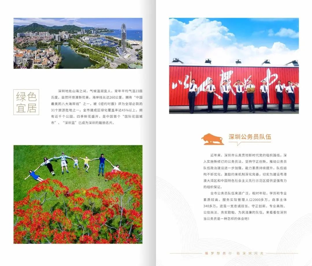 一往情“深”，风华“圳”茂！深圳公务员招录开始啦！面向全国，今起报名