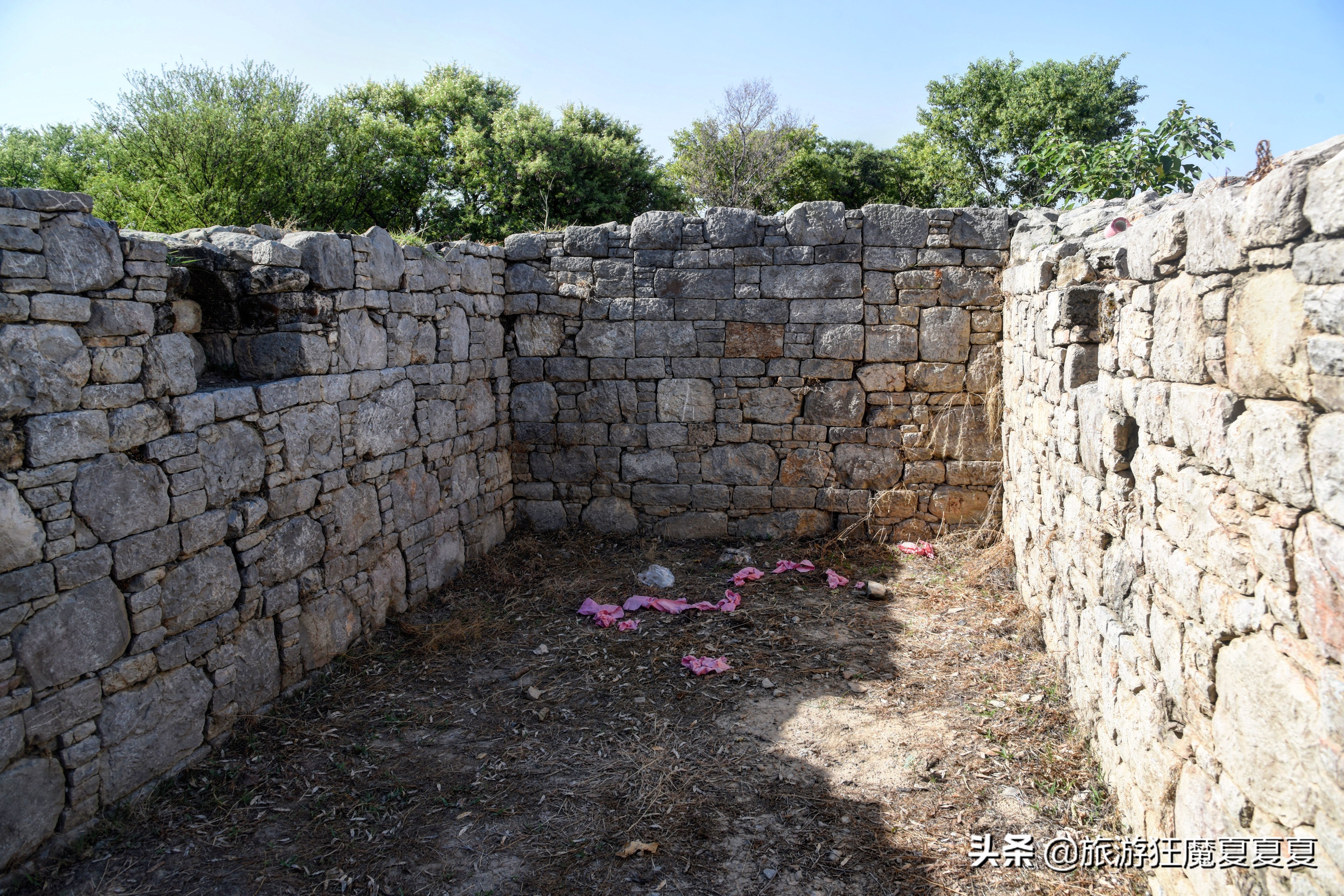 玄奘法师大雁塔采访,玄奘寺探访