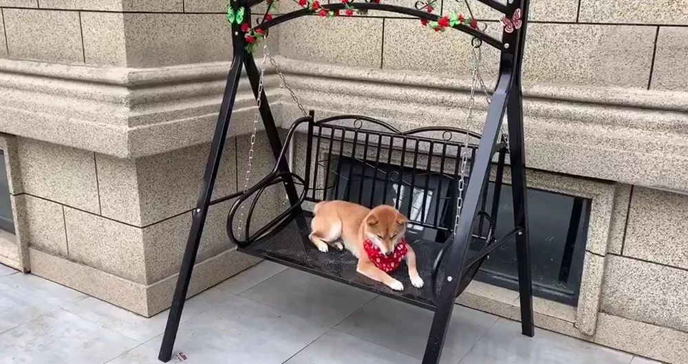 儿童房别墅装修带滑梯泳池秋千,城堡豪华别墅泳池