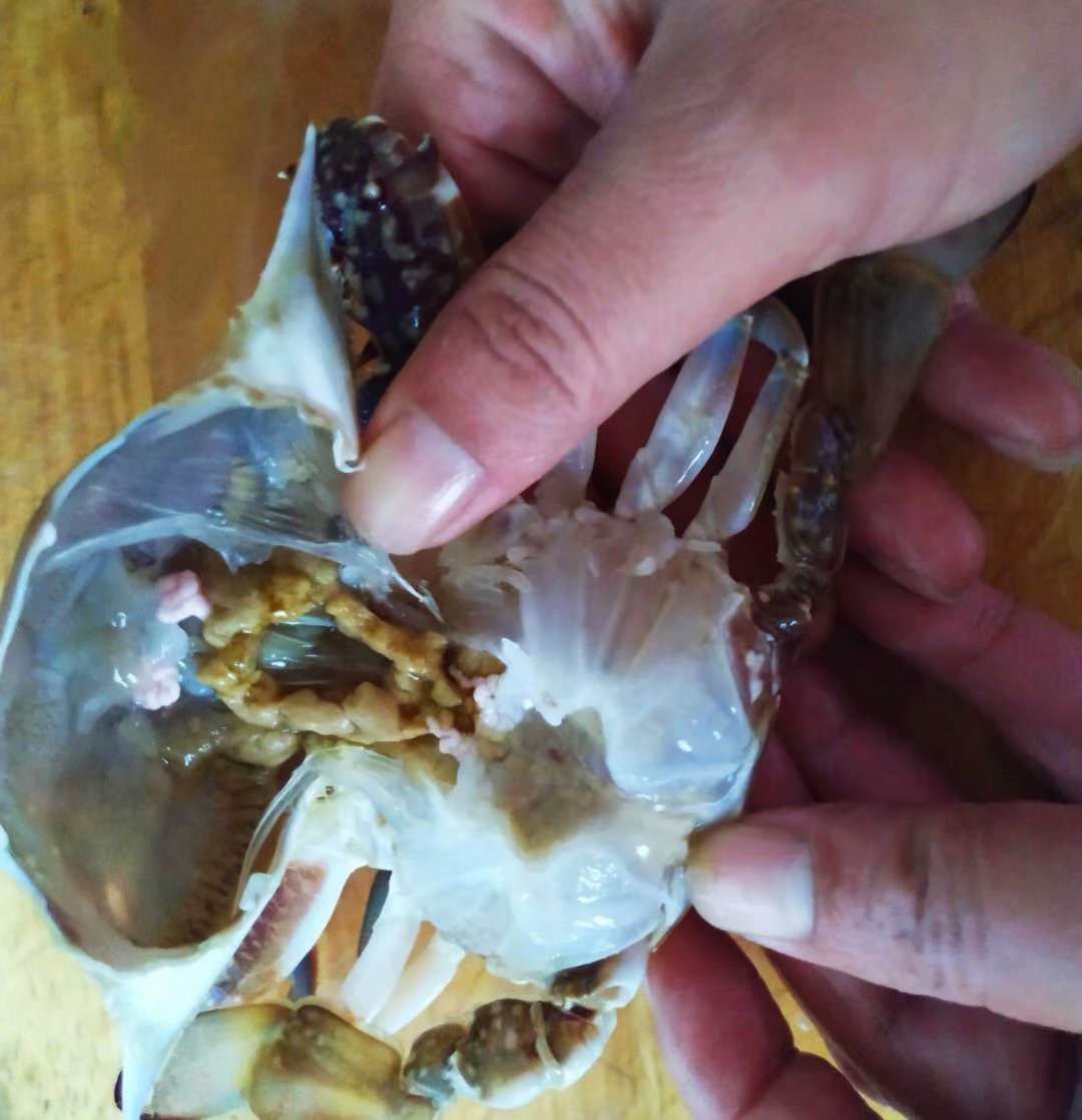 海鲜要囤货吗,海鲜市场怎么养殖活的海鲜