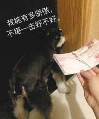 华人注意：这些细节可能会让你的护照失效！出入境均受影响