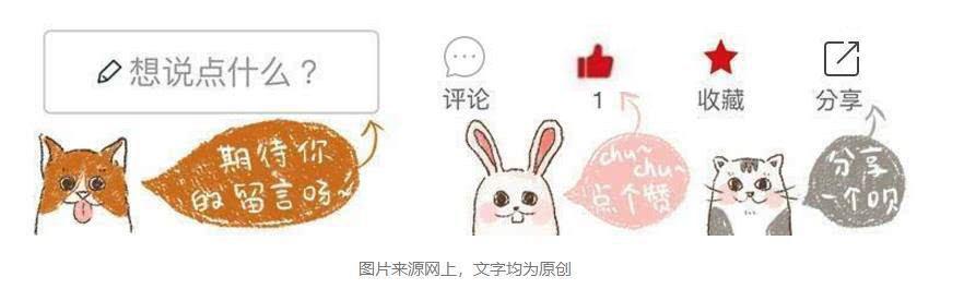 猫咪舔舐自己的伤口会怎么样,猫咪反复舔舐同一个部位是怎么了