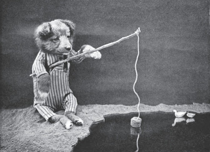 灏忕嫍灏忕尗鍖栬韩浜虹被,灏忕尗灏忕嫍鐢诲