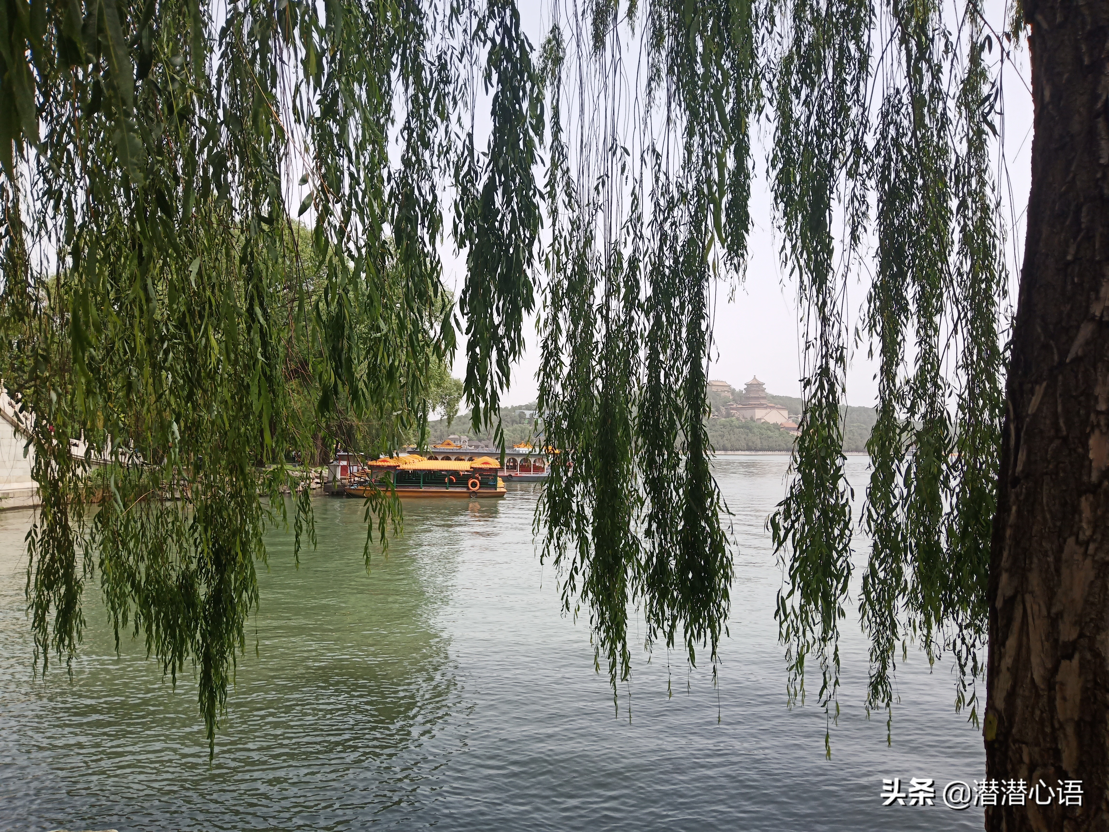 唤醒感恩的心,唤醒心灵感受感情