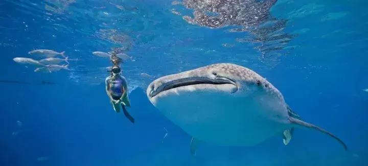 有个岛国，比美马代，比海南便宜，机票500起！