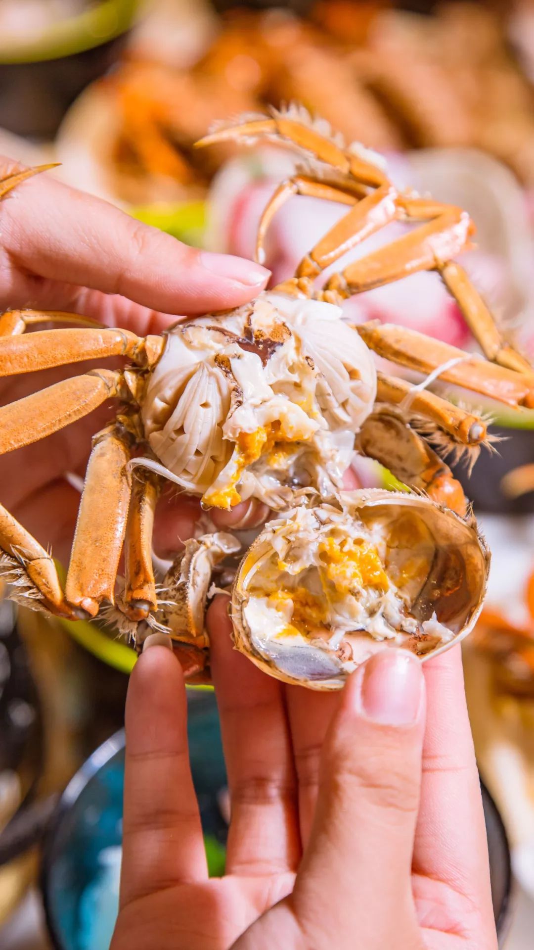 象拔蚌三文鱼鹅肝刺身拼盘,鹅肝苹果刺身