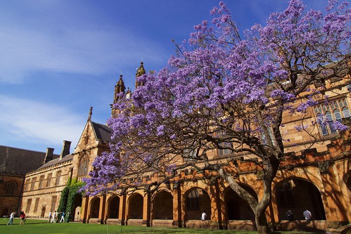 澳洲留学可以去昆士兰州吗,澳洲去哪个州留学比较好