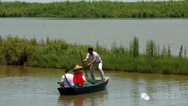 深圳福永黄油蟹做法,深圳正宗黄油蟹