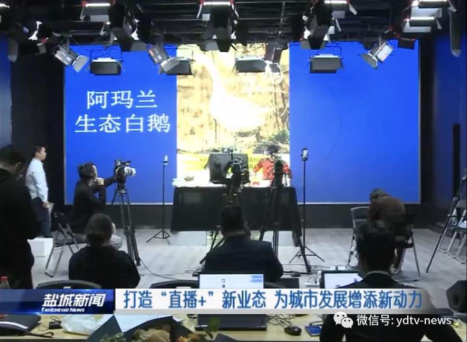 外媒看央视主持人直播带货,央视新闻报道江苏盐城