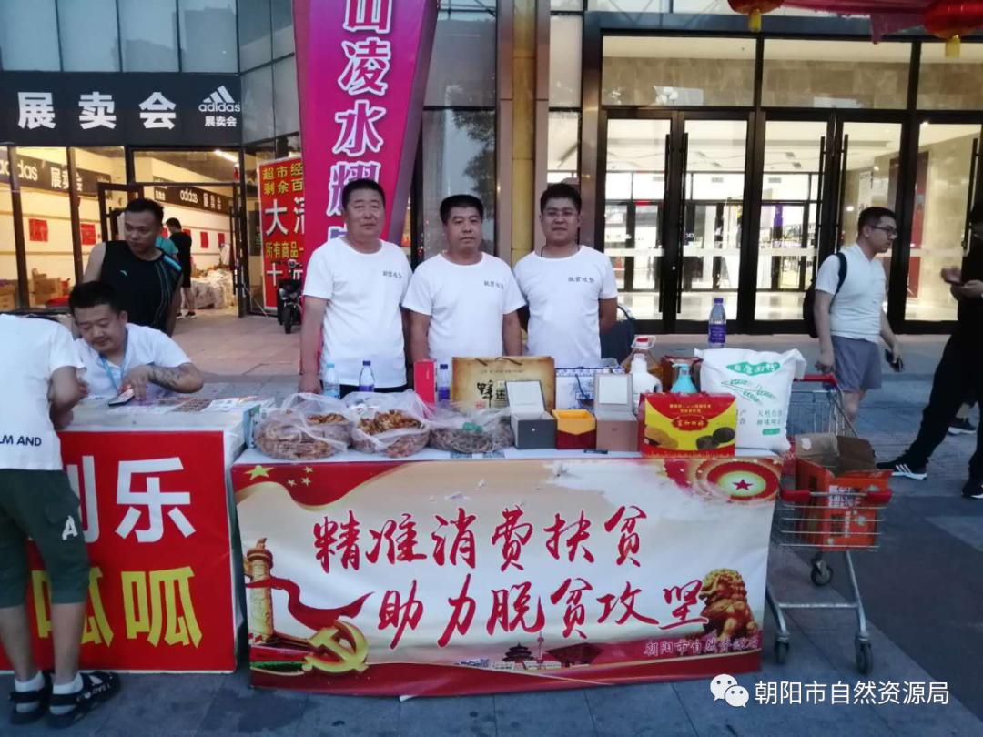 长春市朝阳区自然资源局,辽宁省朝阳市自然资源局在哪