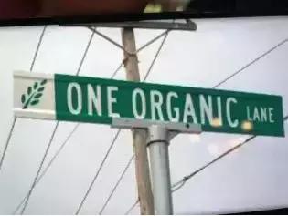 有机产业发展,有机食品发展面临的机遇