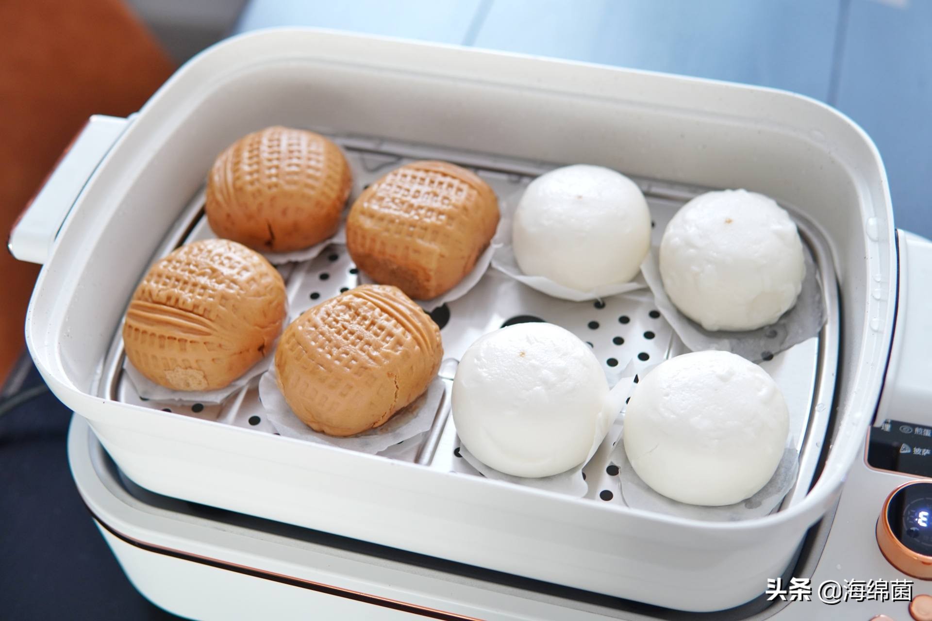 bolali博拉利多功能蒸汽料理锅,蒸汽桑拿锅测评