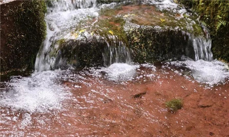 云品出滇入鲁,云品出滇简介