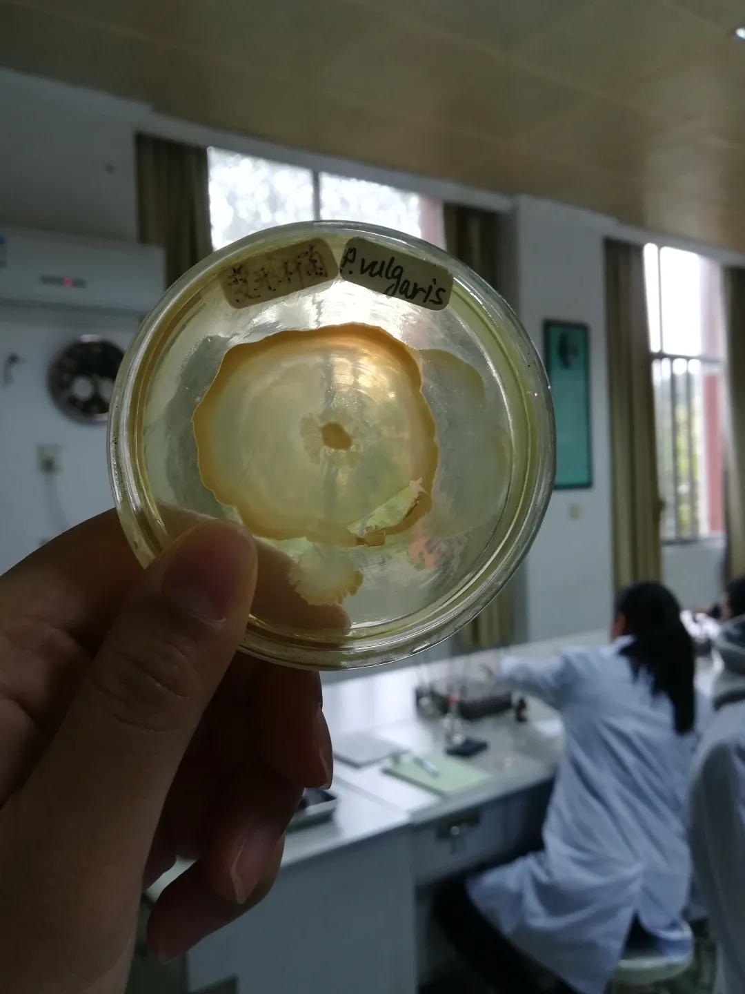 医学生学习打卡做题,医学生学习成果检验视频