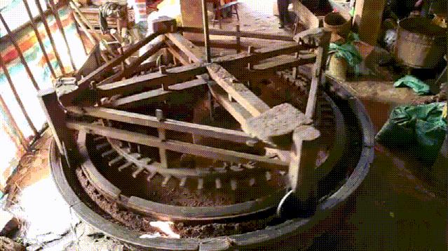 菜籽油是怎么榨出来的,菜籽榨出来怎么是绿色