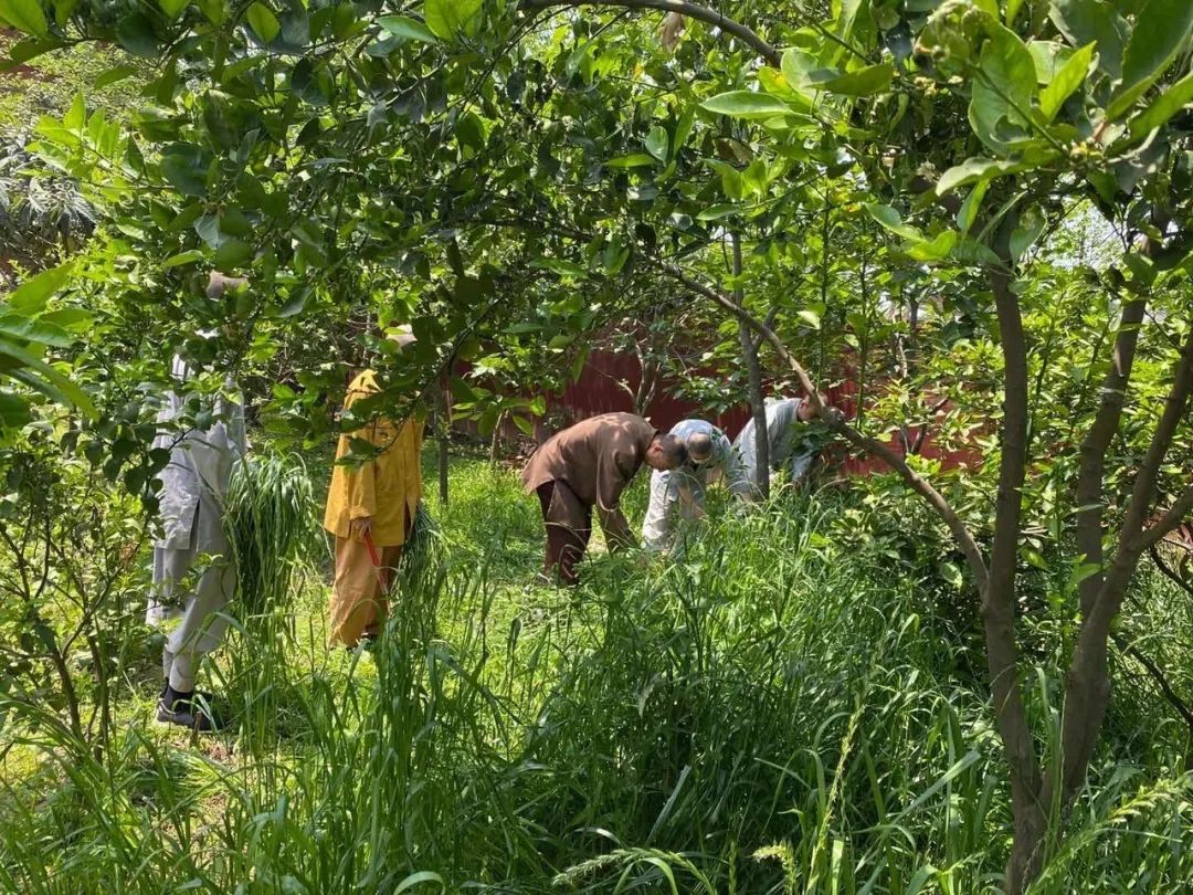 抢抓农时开展农业生产,农民纷纷抢抓春耕生产有利时机