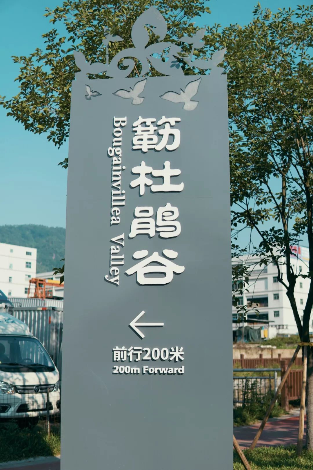 人少还免门票！深圳这片5000000㎡新公园美翻了，“神仙花谷”