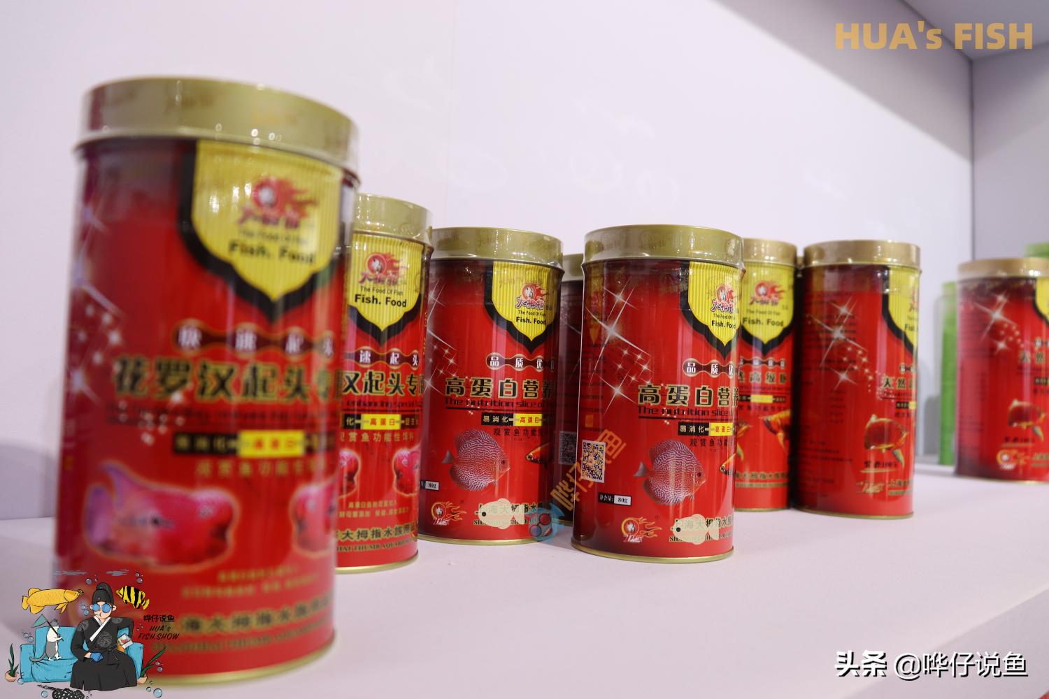 如何选择有营养的鱼粮,观赏鱼粮怎么选