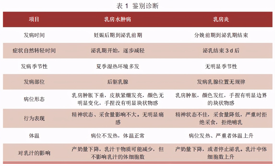 母猪乳房水肿打什么药,母猪乳腺水肿怎么消除