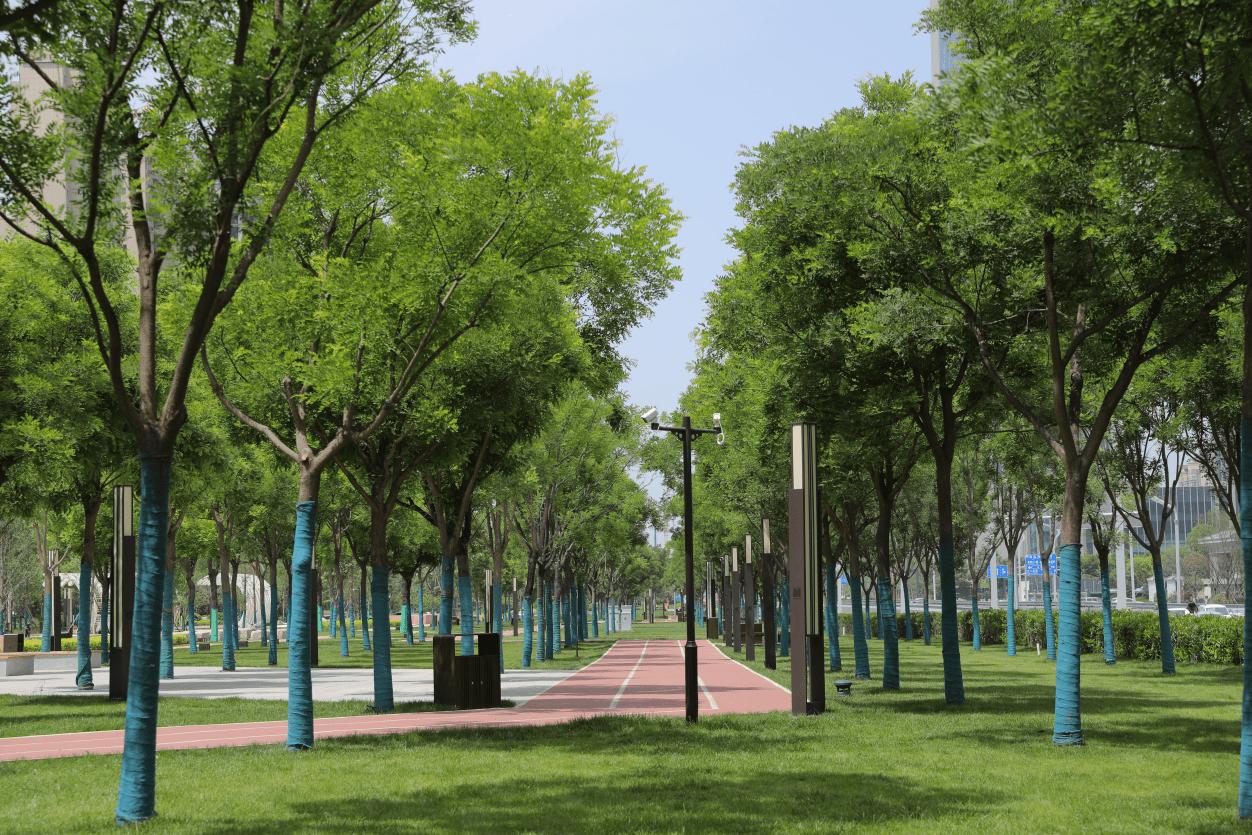 小确幸公园,全运公园