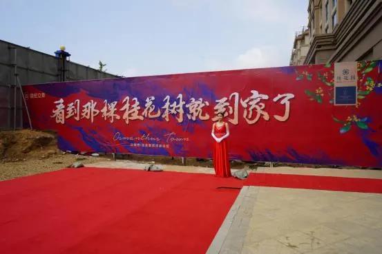 国宏立泰桂花园开发商,威海国宏立泰桂花园怎么样