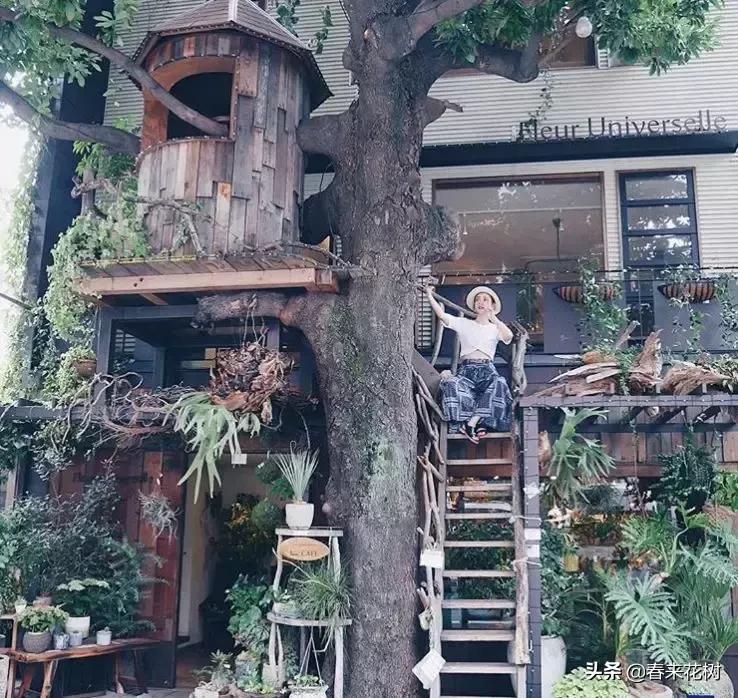 日本东京花店推荐,超美的花店