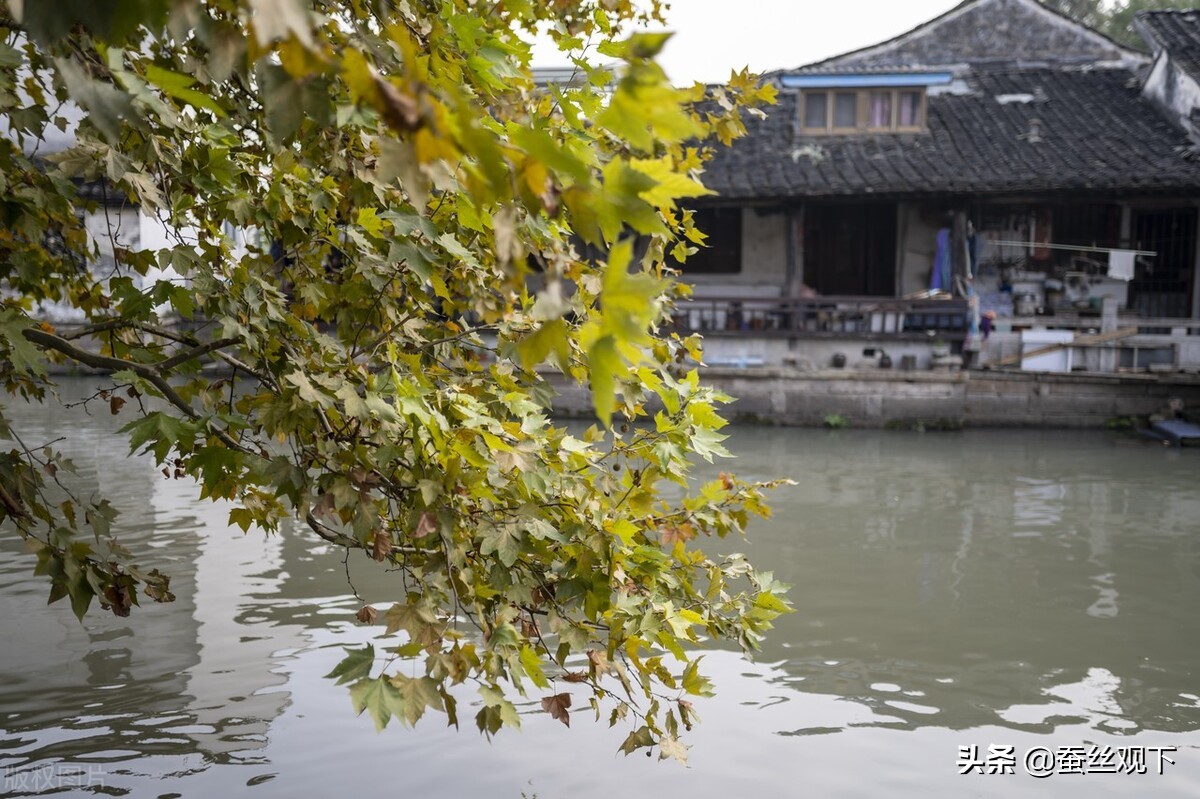 绍兴为何地灵人杰文人辈出,绍兴市一个人杰地灵的地方