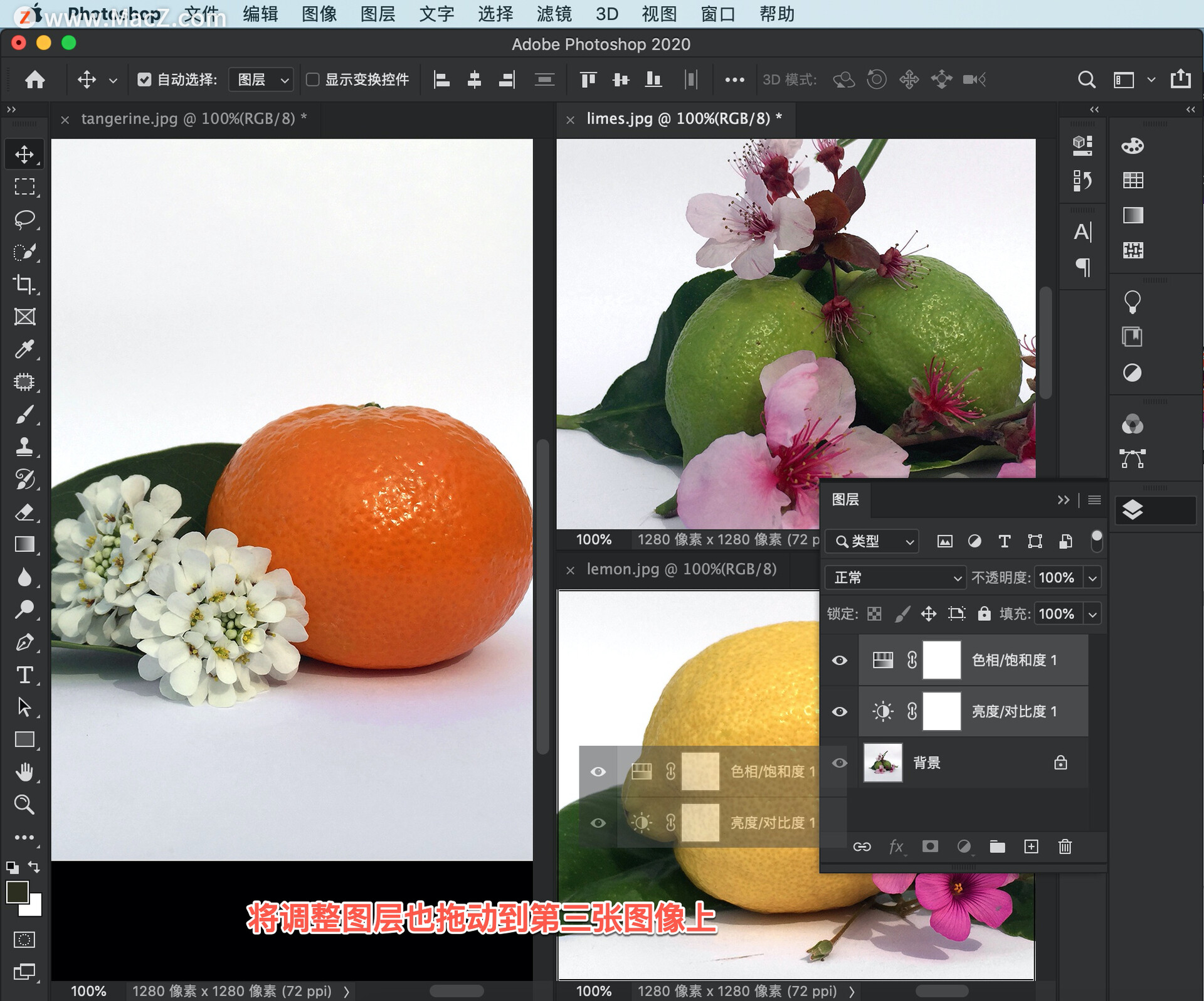 ps基础教程新手入门照片修图改字,ps新手快速入门人像精修技巧