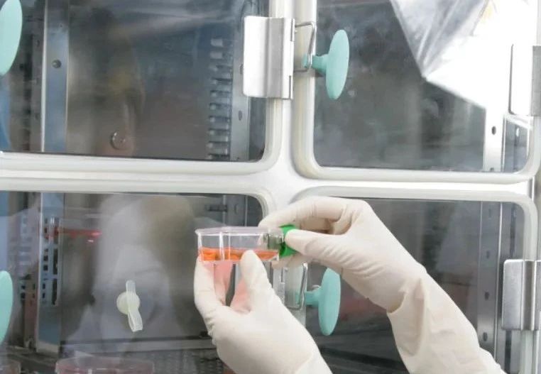 二氧化碳培养箱简介,二氧化碳培养箱缺气