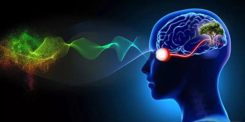 为什么会做梦中做梦呢,为啥做梦的梦境会变成现实