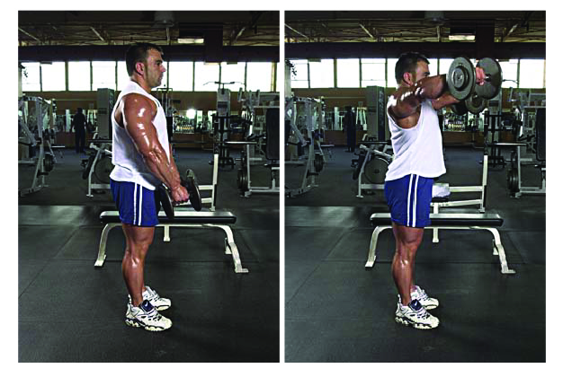 增肌训练指的是,增肌力量的基本知识