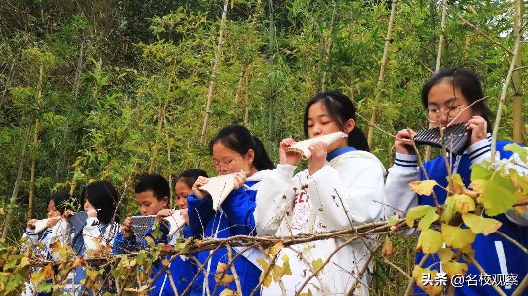 多彩社团助力学生快乐成长,双减之后丰富多彩的社团活动