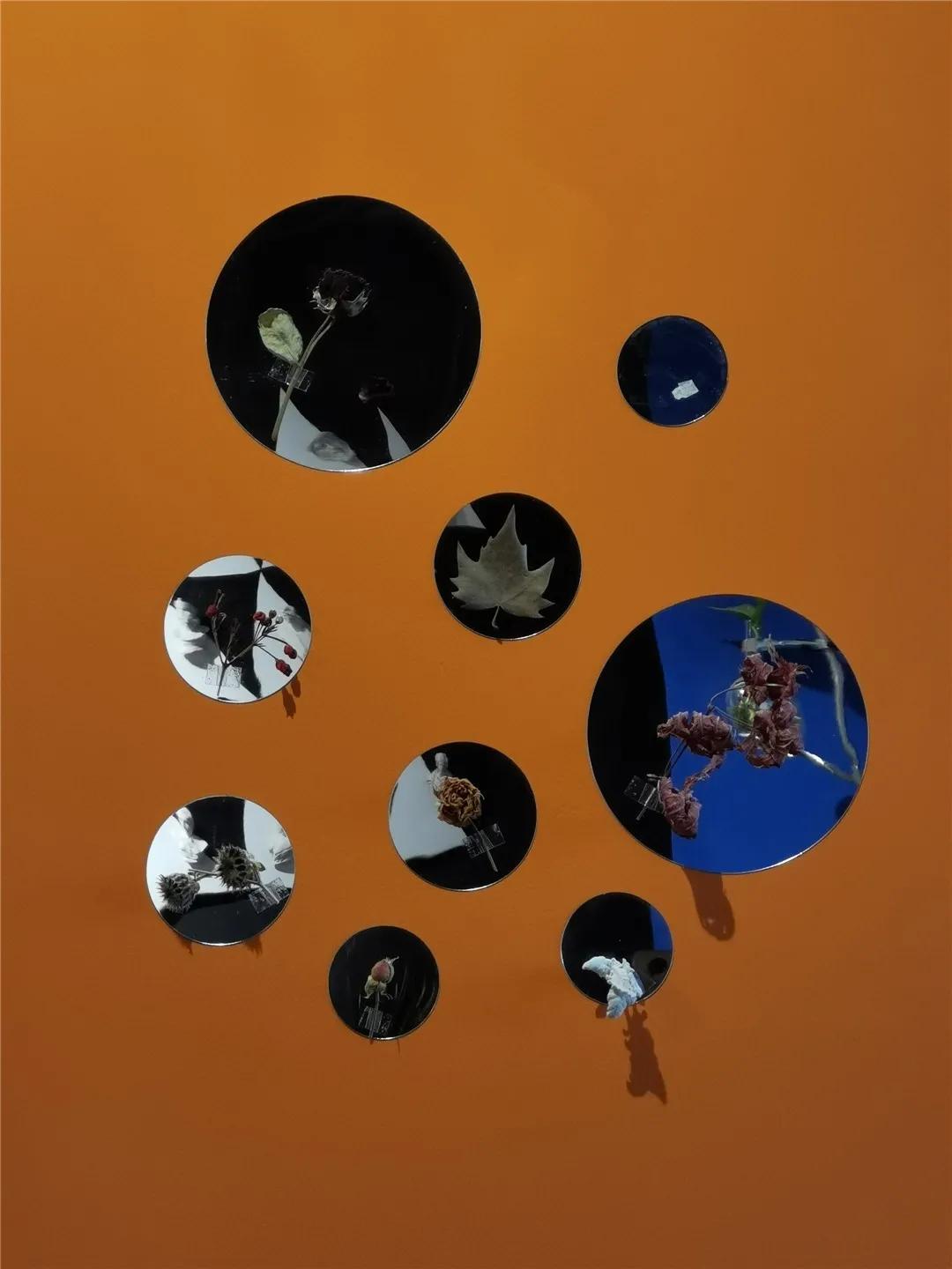 从10平方米的楼梯间花店，到130平方米的花园花店，为何她俩做得这么火？