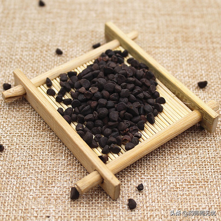 中药汤头歌诀白话解全集,超长篇中药四百味白话解释