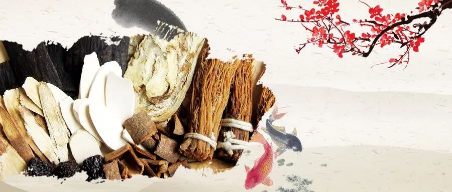 易上火是肾阴虚还是肾阳虚,容易上火是虚不受补吗