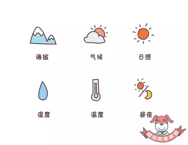 出远门失眠,出门出差便秘吃什么药才有效