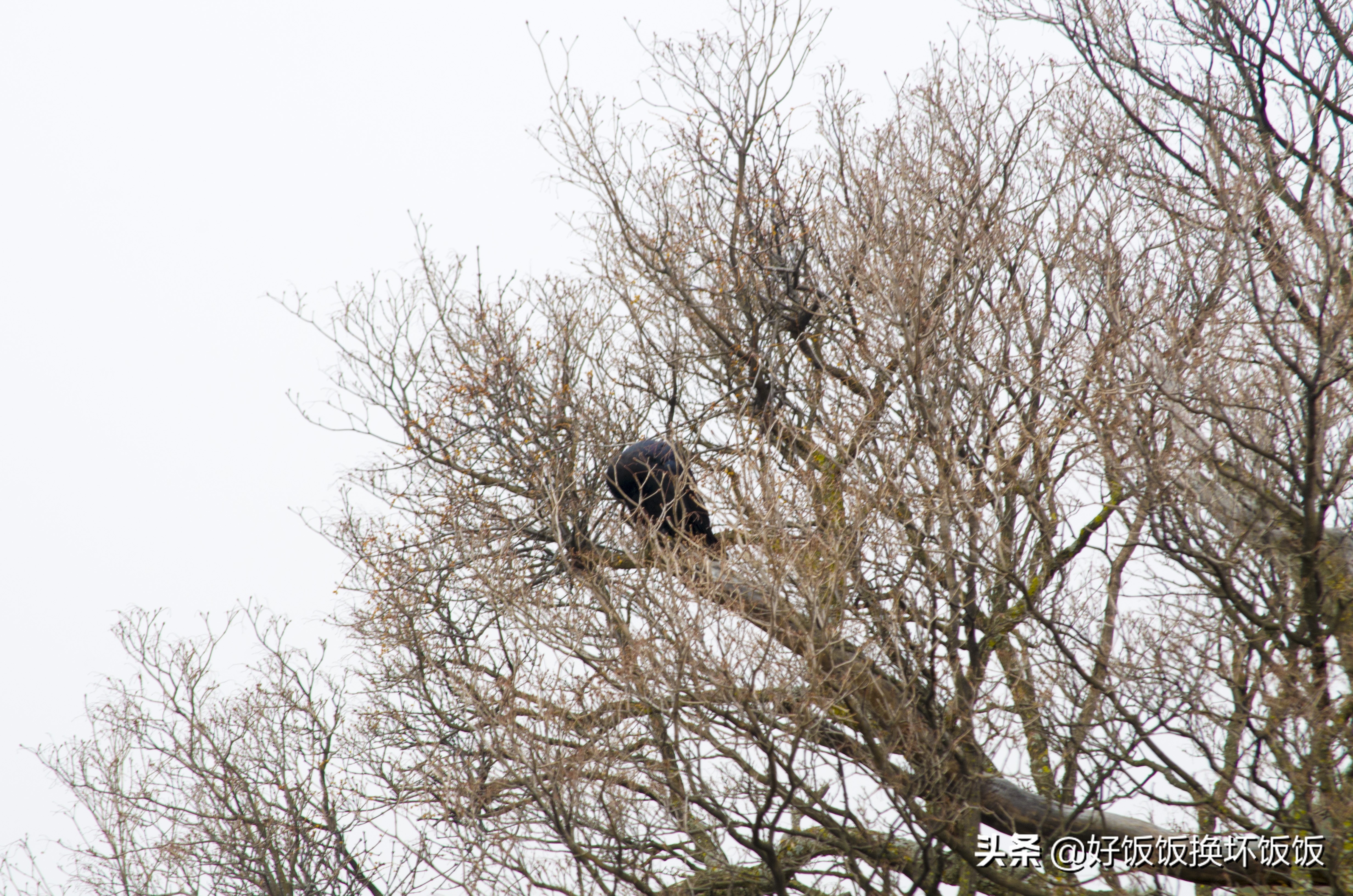 华山站到华山北峰怎么走,华山西峰到华山北峰山路怎样